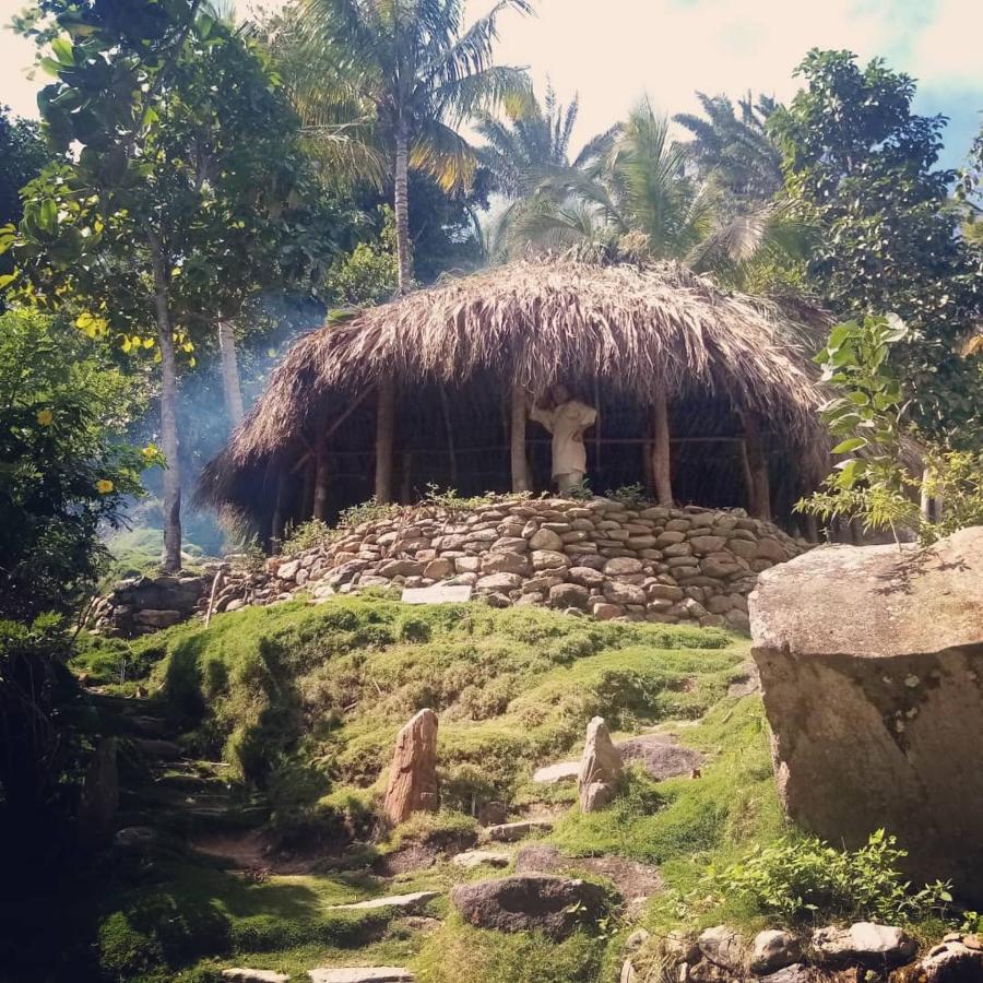 ホテル La Cima Tayrona サンタ・マルタ エクステリア 写真