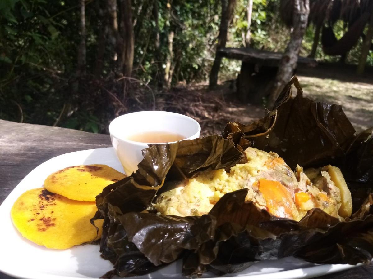 ホテル La Cima Tayrona サンタ・マルタ エクステリア 写真
