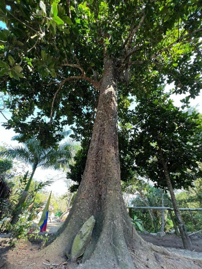 ホテル La Cima Tayrona サンタ・マルタ エクステリア 写真